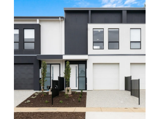 Licensed House Agent Rostrevor