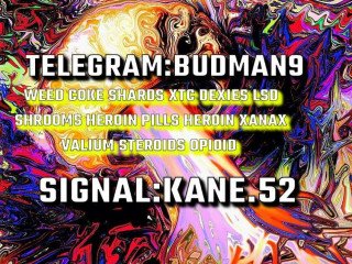 PARRAMATTA DEXIES COKE Telegram/budman9 (my only account)