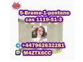 offer-sample-5-bromo-1-pentene-cas-1119-51-3-factory-price-small-1