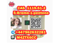 offer-sample-5-bromo-1-pentene-cas-1119-51-3-factory-price-small-0