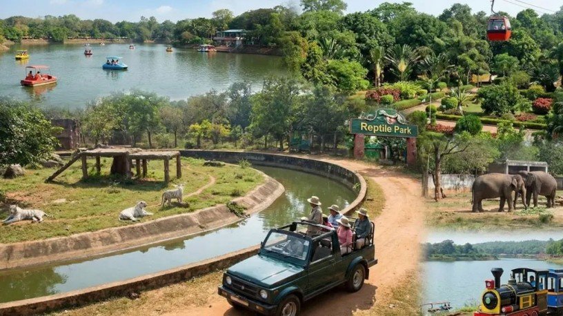 cab-booking-service-in-puri-for-konark-temple-tour-packages-big-0