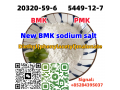 cas-5449-12-7-new-bmk-sodium-salt-small-1