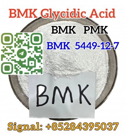 cas-5449-12-7-new-bmk-sodium-salt-big-2