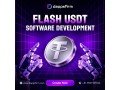 custom-flash-usdt-software-development-full-source-code-smart-contract-rights-small-0