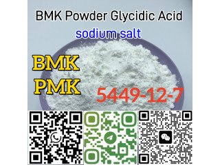 Cas 5449-12-7 New BMK sodium salt stock on sale Europe warehouse