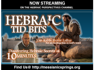 Learn The Bible From A Hebraic Lens