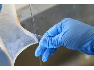 Acesso Biologics  Amniotic Membrane Allograft